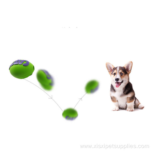 Catch Rugby Interactive Traning Dog Ball Agility Equipment